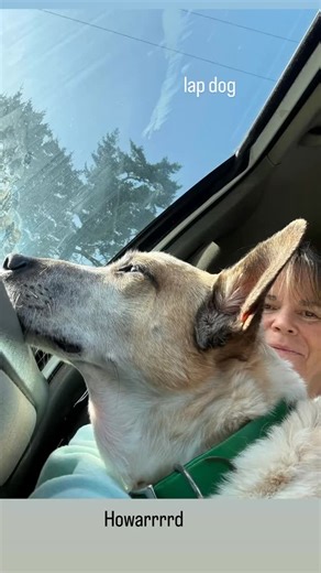 Coopers Dogpatch on Reels