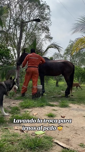 Videos de David Meneses (@omardavidmenesesg) con “No Era Un Vaquero - 8 SEGUNDOS”
