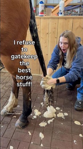 How to wash a horse tail with the Vetericyn Foamcare Shampoo! #horses #horsecare #hacks