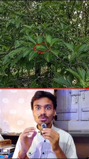 Can You Find Animal's 😳😱??