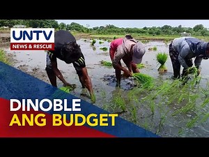 Budget ng National Rice Program, dinoble — DBM