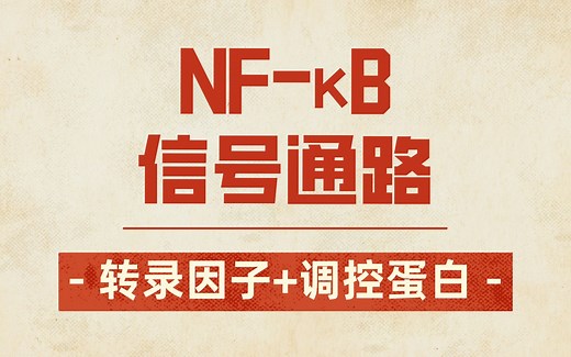 NF-κB信号通路的关键分子—转录因子及其调控蛋白