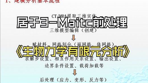 居于STL模型前处理的生物力学有限元分析