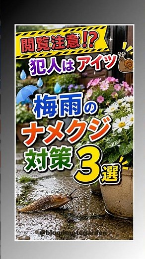 梅雨の天敵🐌ナメクジ対策3選☔🌸 #ガーデニング #園芸初心者 #家庭菜園