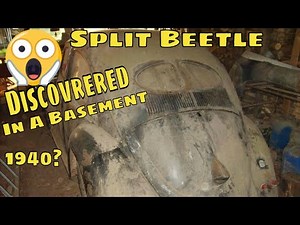 Oldest beetle in the USA Discovered in a basement!