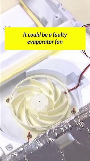 Fridge Making Ticking or Grinding Noises? This Could be Why...