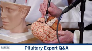 Where is the pituitary gland located? What does it do?