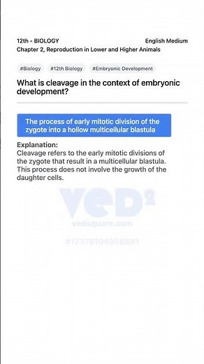 Embryonic Development Cleavage Explained 12th Biology