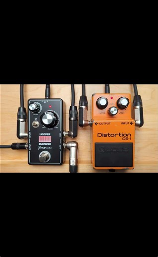 FTelettronica Looper Blender Boss DS 1 2 of 2