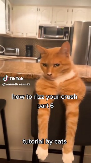 Master Your Crush: The Ultimate Rizz Guide