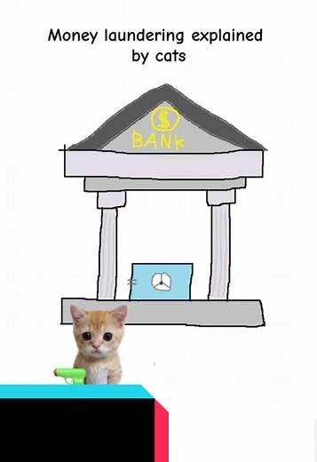Kitty explain money laundering | kitty