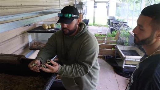 Why you should never open a FedEx box with a knife