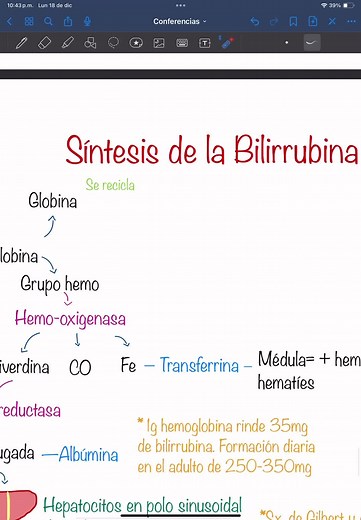 Síntesis de Bilirrubina: Pasos y Procesos | Bioquímica y Medicina