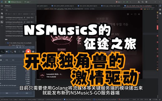【Github】 NSMusicS v1.3.0更新(八)，新增jellyfin与Emby支持，NSMusicS-GO Docker版本即将发布