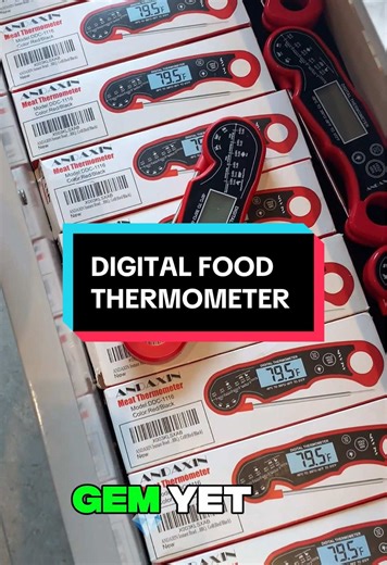 Digital Food Thermometer: Your Cooking Essential