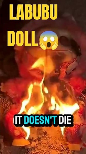 Burning The Labubu Doll (EXPOSED) 🔥