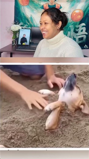 Garmi ke mousam main cool rehne ka naya tarika 😂 #dogeshbhai #funnydog #dogshorts