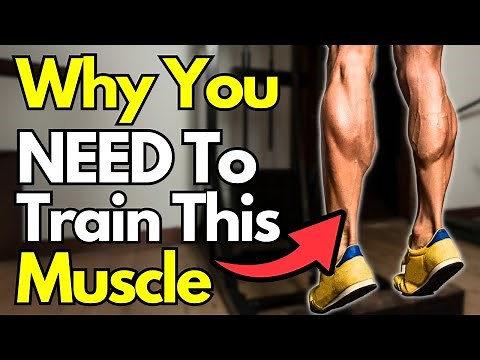 Why We Love The Soleus (& Why You Should Train It)