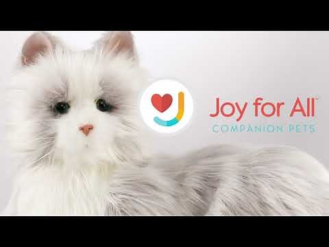 Joy for All - Cat Demo