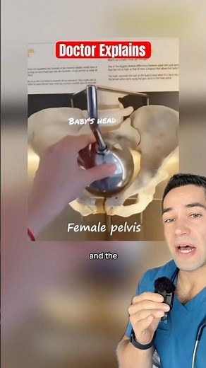 Why male and female skeletons are different