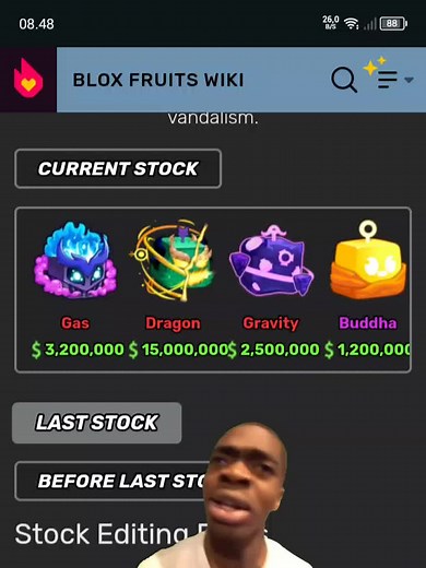 Dragon Stock Guide for Blox Fruits Players