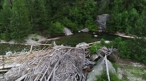 Methow River Crane Shot Mazama Washington 2