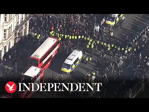 Live: Aerials of huge pro-Palestine march in London on Remembrance Day