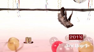 2017 is here! | Animal Planet