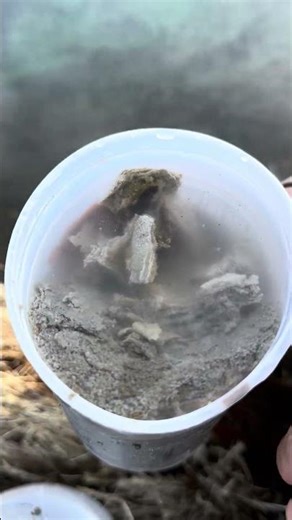 Investigating a hot spring part 3