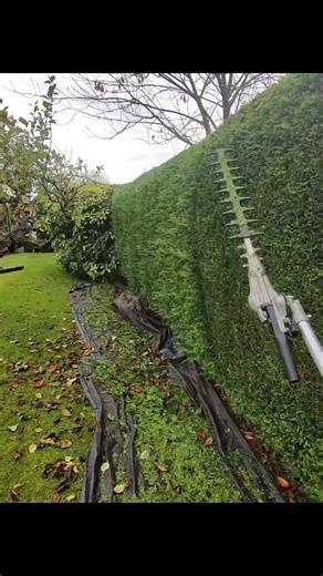 2.7K views · 20 reactions | When I'm trimming I'll trim some off, trim some more off, neaten it up and move the sheet, maybe trim where the sheets been if needed #garden #gardenideas ##gardentok #gardening #garden #nature #gardenlife | Kieron Calderbank | Facebook