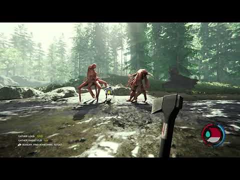 The Forest Funny Moments!!