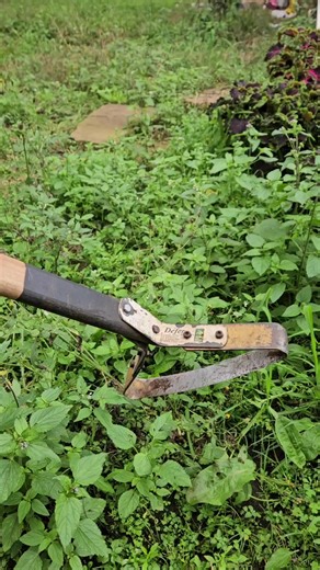 Demonstração da Enxada de 30 cm para Agricultura