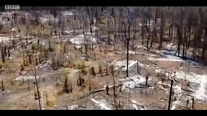 Extinction: The Facts - Extinction: The Facts, by David Attenborough (full documentary)