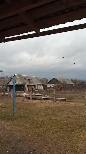 Егорик (@egorik.t.o.p)’s videos with оригинальный звук - Егорик