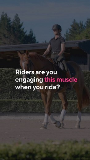 It’s not your six-pack. It’s not your obliques. It’s your transverse abdominis (TVA)— your deep, corset-like core muscle that stabilises your spine and pelvis from the inside out. When this muscle is underactive or misfiring, you might feel: 🚫 Wobbly through your seat 🚫 Overly tight or grippy through your thighs 🚫 Strain through your lower back or hips 🚫 Like you’re “bracing” just to sit the trot This muscle is key for: ✅ Maintaining even pressure through your seat bones ✅ Staying softly upr
