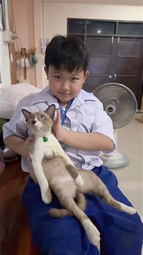 เติมแมว 😽🐈 #น้องพุทโธธัมโมไชโยโห่ฮิ้ว