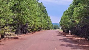 Discover Parks and Bellemont Arizona on Historic Route 66 | Route 66 Road Relics