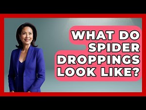 What Do Spider Droppings Look Like? - Insects and Invaders