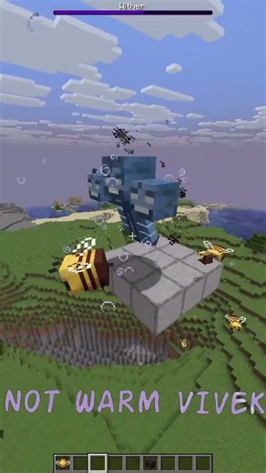 Minecraft Bees VS Wither💀