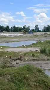 714 reactions · 74 comments | Nasa loob Ng malawak na rever control Tayo nag astol ngayong araw #hilightseveryonefollowers2025 #happygoatfarming #highlighteveryone #StarsEverywhere #followers #farming #goatfarming #GOAT #farminglife | GiNa Bilarmino Silvestre Anusencion | Facebook