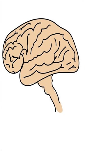 how to darw brainrot #drawing