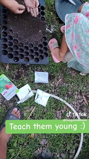 Teach them young about farming, turuan magtanim habang maaga. they need to learn the basics. #CapCut #fyp #foryoupage #viral #tiktok #tiktokviral #trending #bukid #farming #farming #summer2025