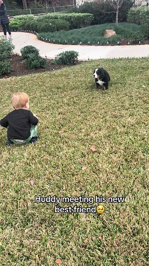 Baby Meets Puppy: A Heartwarming Friendship