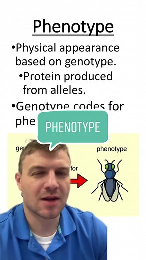 Understanding Phenotype and Genotype in Biology