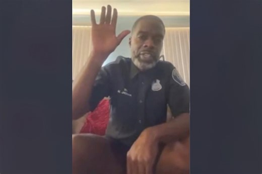 Pantsless police officer stuns in court hearing on Zoom