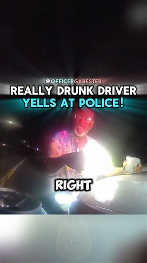 Really Drunk Driver Yells At Police!