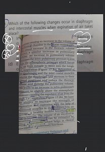 Which of the following changes occur in diaphragm and intercost... | Filo
