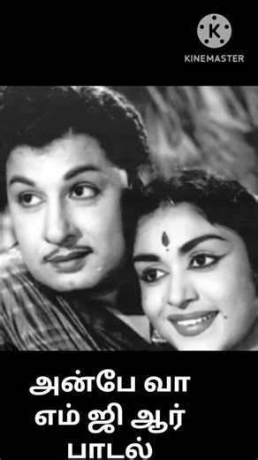 ராஜாவின் பார்வை ராணியின் பக்கம் 💃#mgrsong #mgrfilms #80songs #oldisgoldstatus #ytshorts #mgrmelody