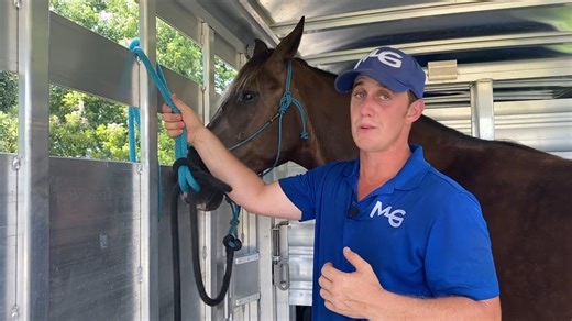 4.4K views · 73 reactions | Wondering how to safely tie your horse in...