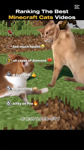 Best Minecraft cat Videos